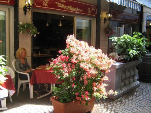 Hotel Da Cesare Stresa Dış mekan fotoğraf